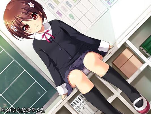 [2.39 GB] Shoujo Kyouiku (Tanuki Soft) [Cen] [2014, School, Harem, Incest, Romance, Striptease, Virgin, Oral, Blowjob, Footjob, DFC] [jap]