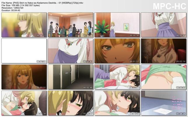 [1.5 GB] Skirt No Naka Wa Kedamono Deshita. / Beast Under Skirt (Noshitani Mitsutaka, Magic Bus) (EP. 1-12 of 12) [Cen] [2017, Romance, Drama, Traps, Web-DL] [JAP / ENG / RUS] [720p]