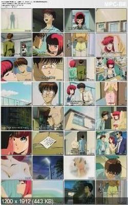 [1.18 GB] Tanin No Kankei / Homeroom Affairs / Human Relations (SEKITA OSAMU, JCSTAFF) (EP. 1-2 OF 2) [ECCHI] [1994, Romance, School, Comedy, DVDRip] [JAP / RUS / ENG / ukr]