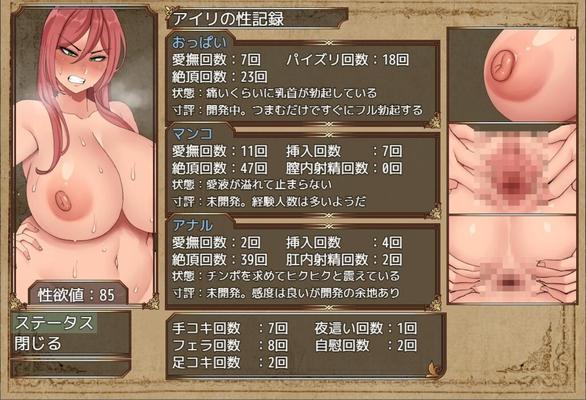 [2,71 GB] Niramare Quest (Sexecute)